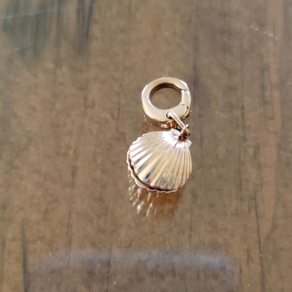 Fossil shell charm
